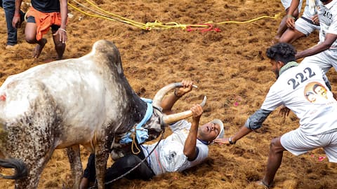 விதிகளில் அதிரடி தளர்வு! ஜல்லிக்கட்டுப் போட்டிகளில் இனி ஆன்லைன் கட்டாயமில்லை! தமிழக அரசின் மூன்று முக்கிய மாற்றங்கள்!