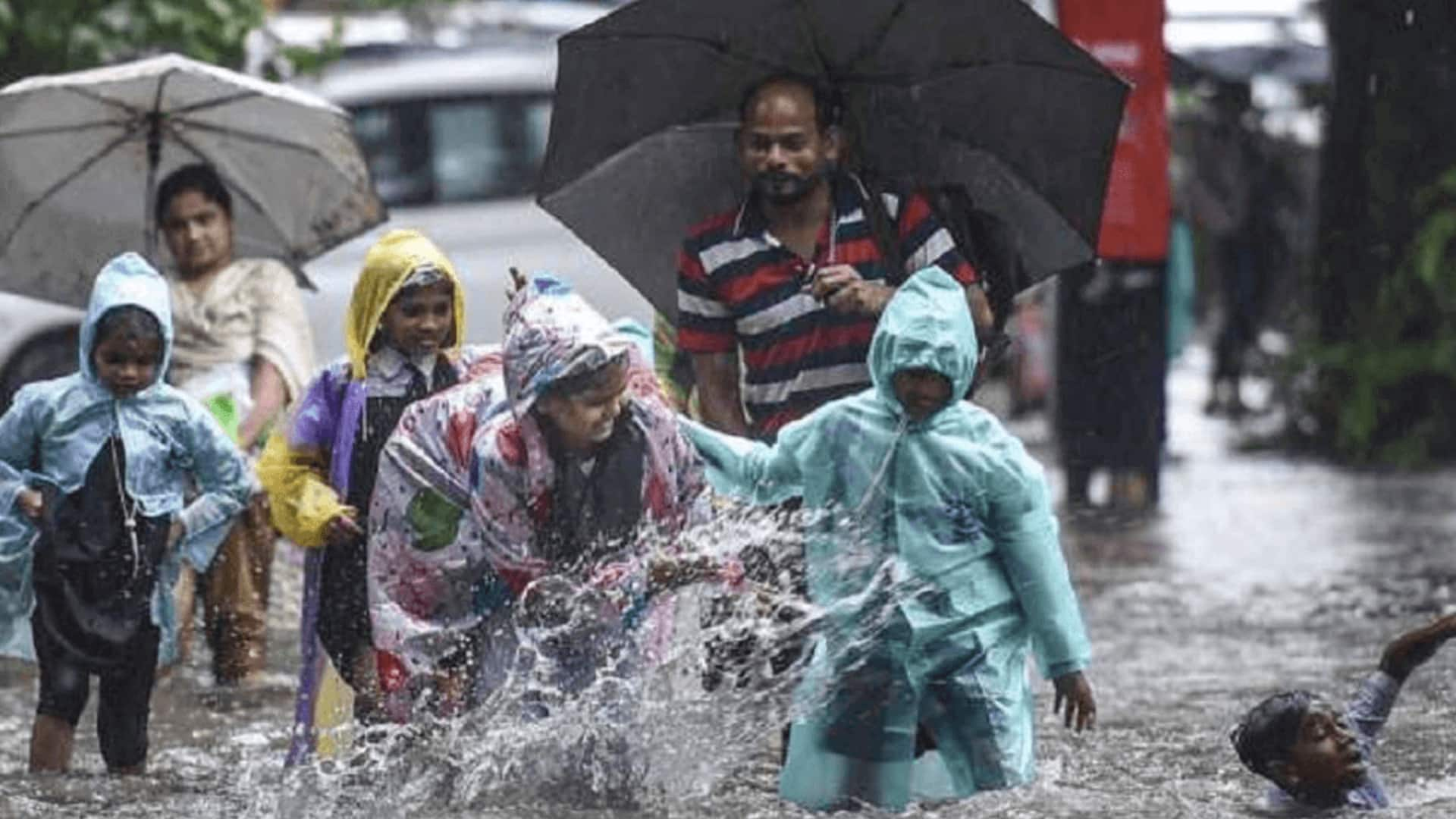 தொடர்ந்து பெய்து வரும் கனமழை; எந்த மாவட்ட பள்ளி, கல்லூரிகளுக்கு இன்று விடுமுறை?