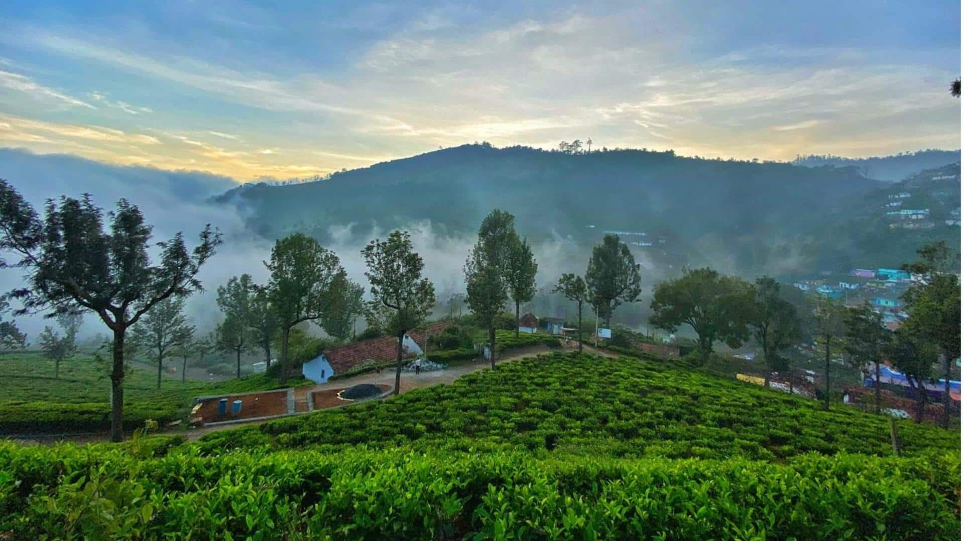 தென்னிந்தியாவின் அமைதியான மலைவாசஸ்தலங்களுக்கு போகலாமா ஒரு விசிட்