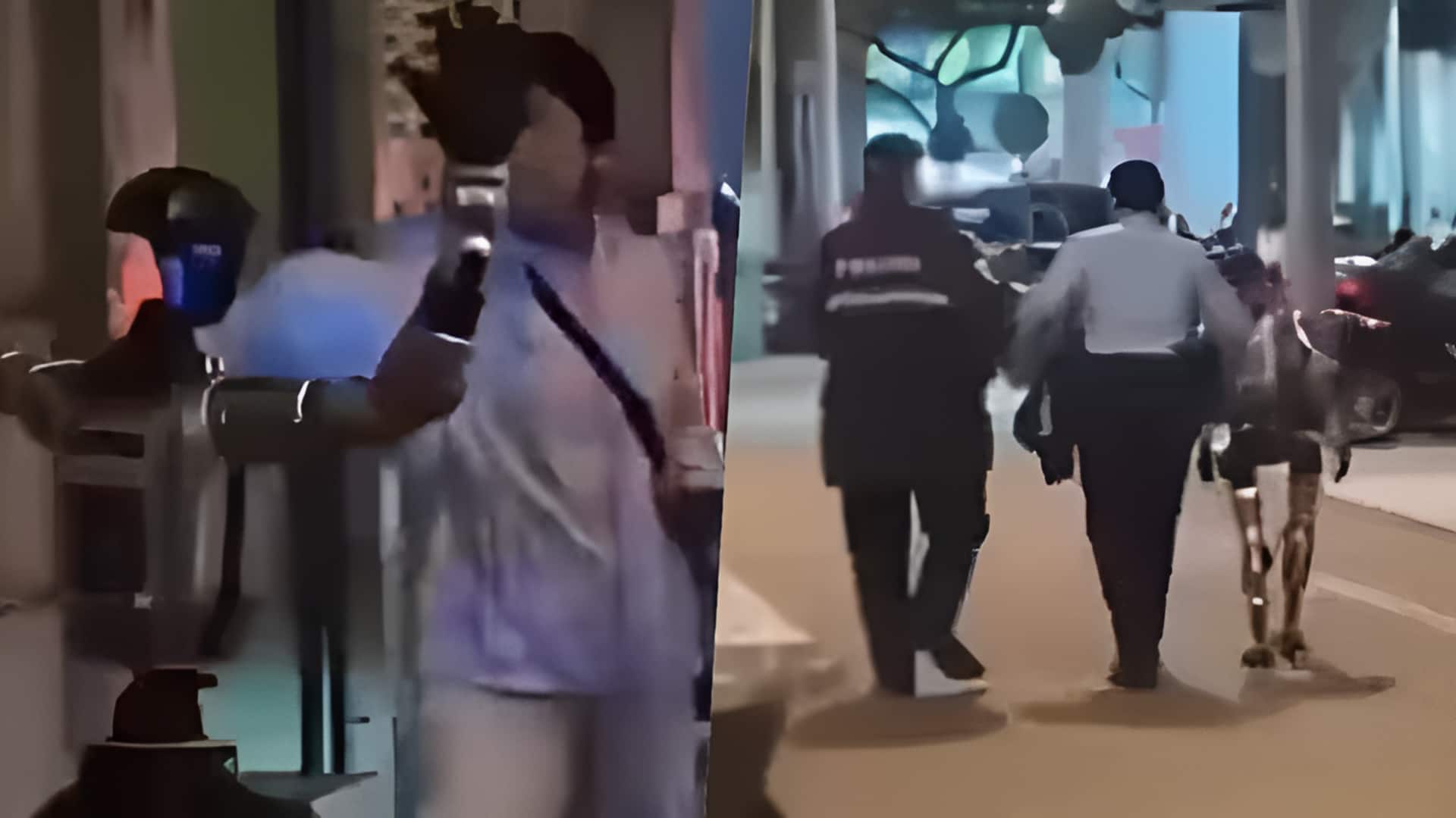 மக்காவ்வில் வினோதம்: மூதாட்டியை பயமுறுத்திய ரோபோ கைது?