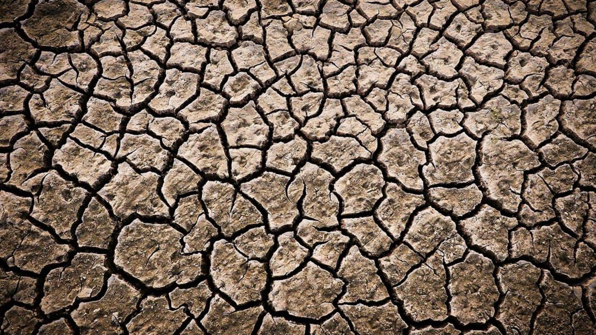 36°C முதல் 44°C வரை சுட்டெரிக்கும் வெயில்! பிரிட்டன், பிரான்ஸில் 5வது வெப்ப அலை; ஐரோப்பாவுக்கு எச்சரிக்கை