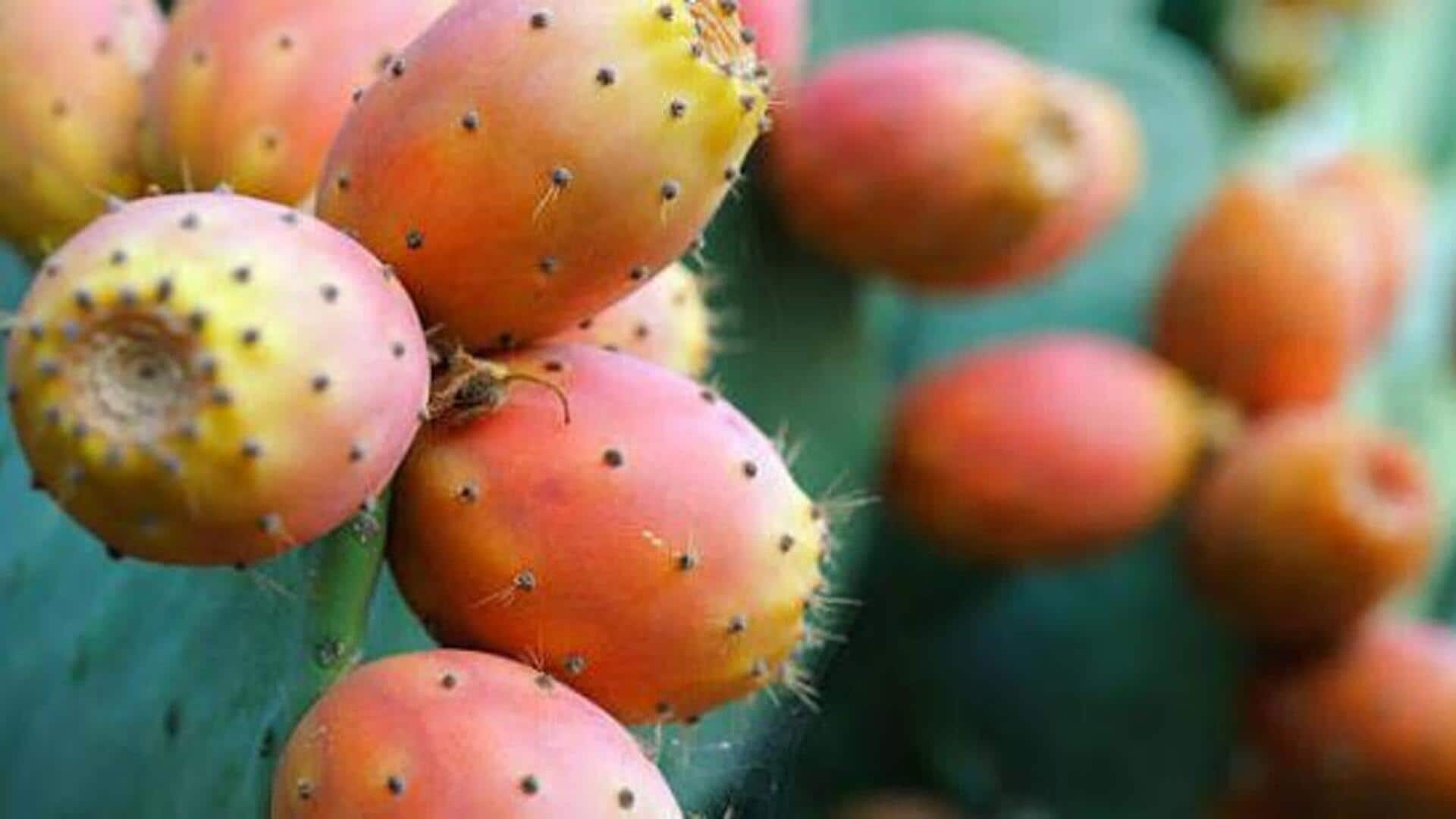 ஆப்பிரிக்க முள் பேரிக்காயைக் கொண்டு அசத்தலான சாலட்கள்!