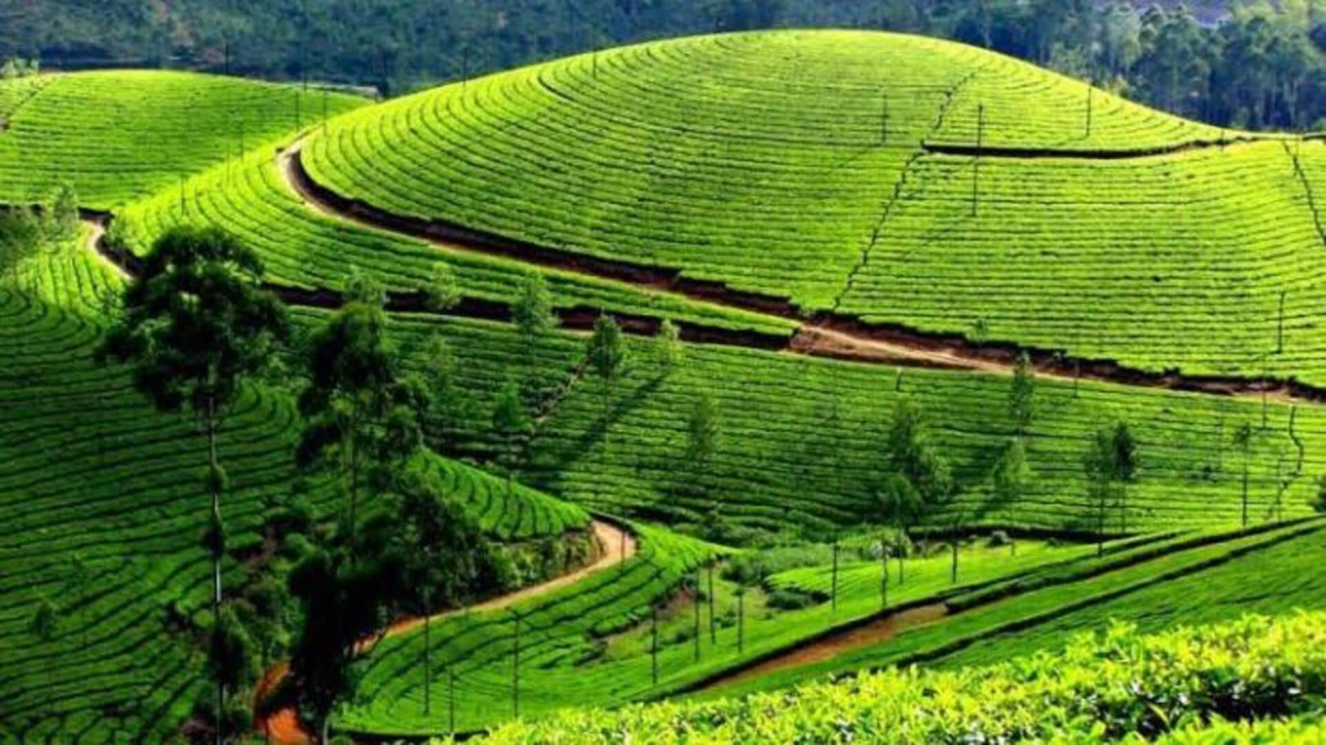 ருவாண்டா சைக்கிள் பயணம்: தேயிலைத் தோட்டங்களை ரசிக்க உதவும் 5 முக்கிய குறிப்புகள்