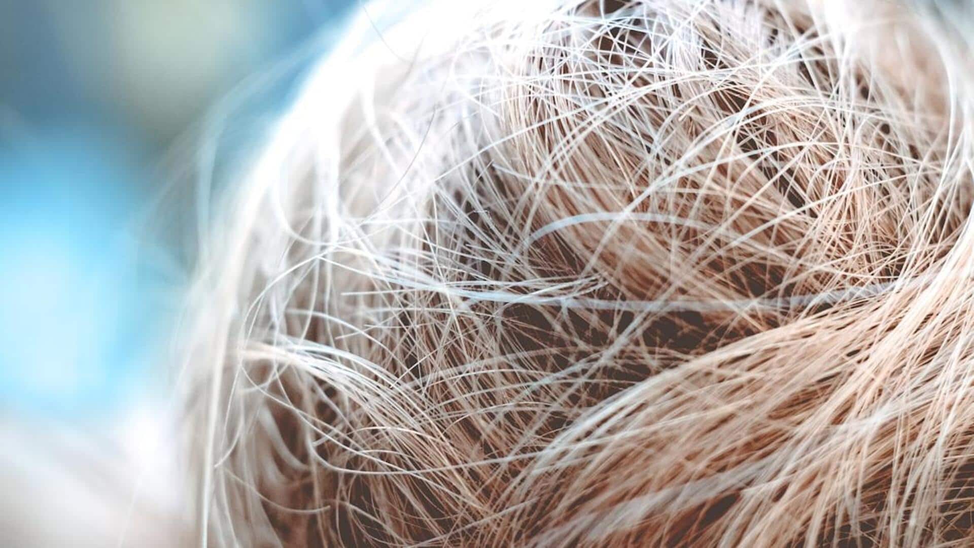 தலைமுடி முதுமையடைவது ஏன்? நரை மற்றும் முடி உதிர்வுக்குப் பின்னால் உள்ள ரகசியம்! நிபுணர்கள் சொல்லும் தீர்வு