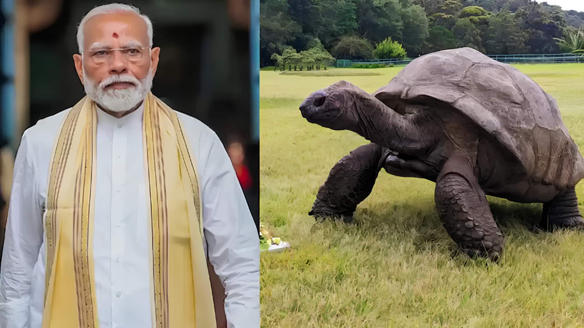 சீஷெல்ஸ் பொன்விழா தேசிய தினம்! முதன்மை விருந்தினராகப் பங்கேற்கும் பிரதமர் மோடி; உலகின் மிக வயதான ஜோனாதன் ஆமையை பார்வையிடுகிறார்