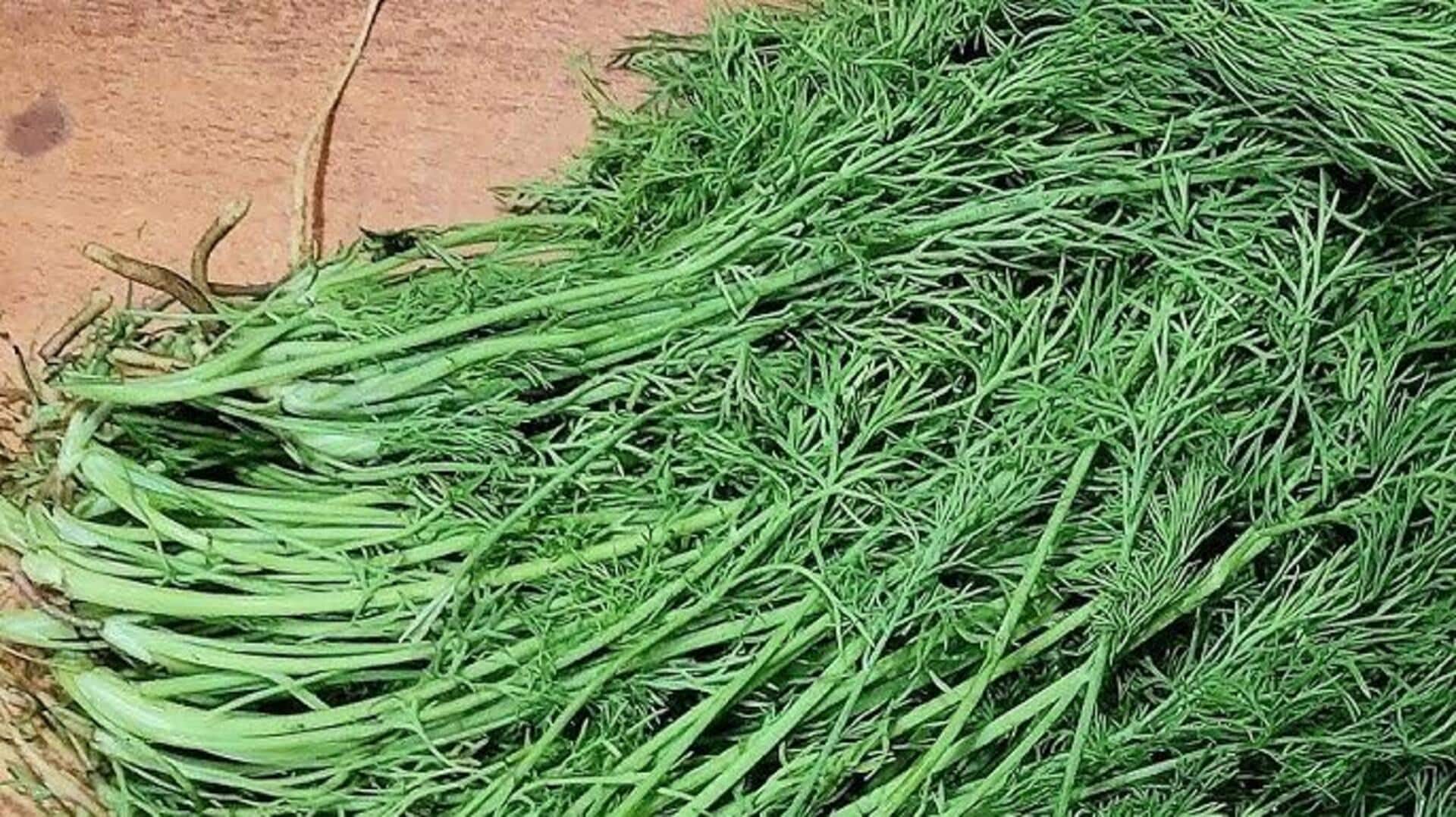 சதகுப்பையின் ஆச்சரியப்படுத்தும் ஆரோக்கிய நன்மைகள்