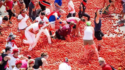 களைகட்டிய ஸ்பெயினின் பிரபல La Tomatina 2024 திருவிழா; வைரலாகும் புகைப்படங்கள் 