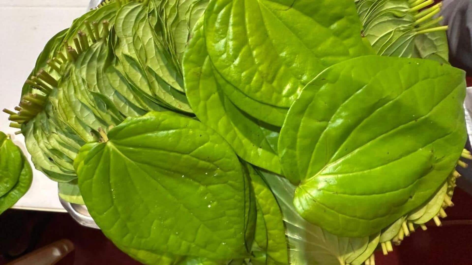 ஆரோக்கியமான வாழ்விற்கு வெற்றிலை: செரிமானம் மற்றும் நோய் எதிர்ப்பு சக்தியை மேம்படுத்தும் எளிய வீட்டு வைத்தியம்