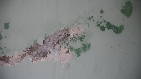 பனிக்காலத்தில் ஏற்படும் வீட்டு பூஞ்சை உங்கள் ஆரோக்கியத்தை எப்படி பாதிக்கும்?