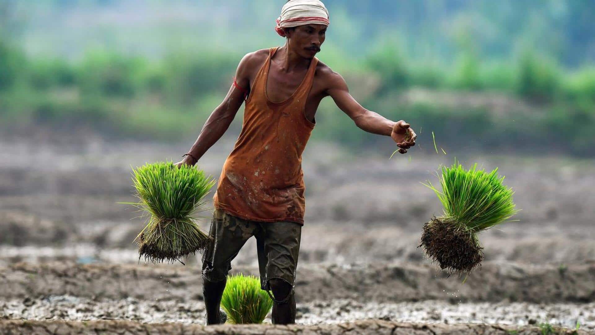 PM-KISAN: நவம்பர் 19 அன்று 21 வது தவணையை வெளியிடுகிறார் பிரதமர் மோடி