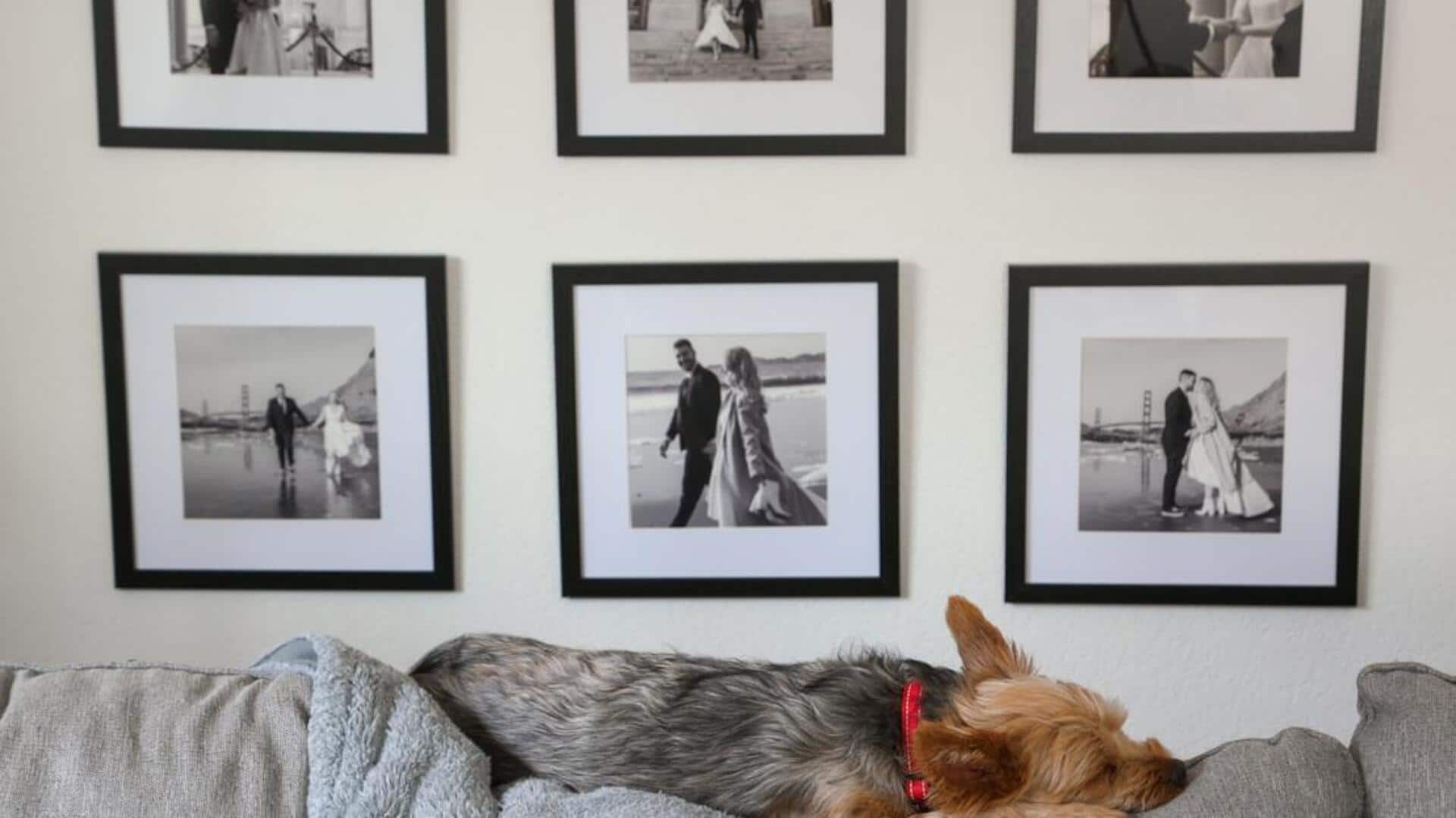 சிறிய அபார்ட்மென்ட் இடங்களில் குடும்பப் புகைப்படங்களை எப்படி அலங்கரிப்பது?