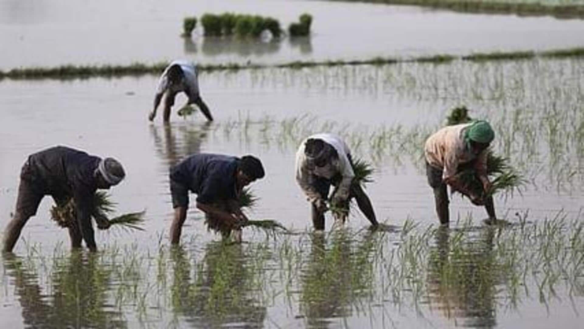 டெல்டா விவசாயிகளுக்கு நிம்மதி: பயிர் காப்பீடு செய்வதற்கான அவகாசம் நீட்டிப்பு; தமிழக அரசு அறிவிப்பு