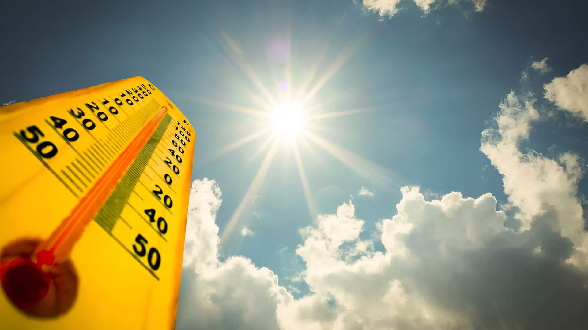 தகிக்கும் இந்தியா! 44 டிகிரி செல்சியஸ் வெப்பத்தில் வட மாநிலங்கள்