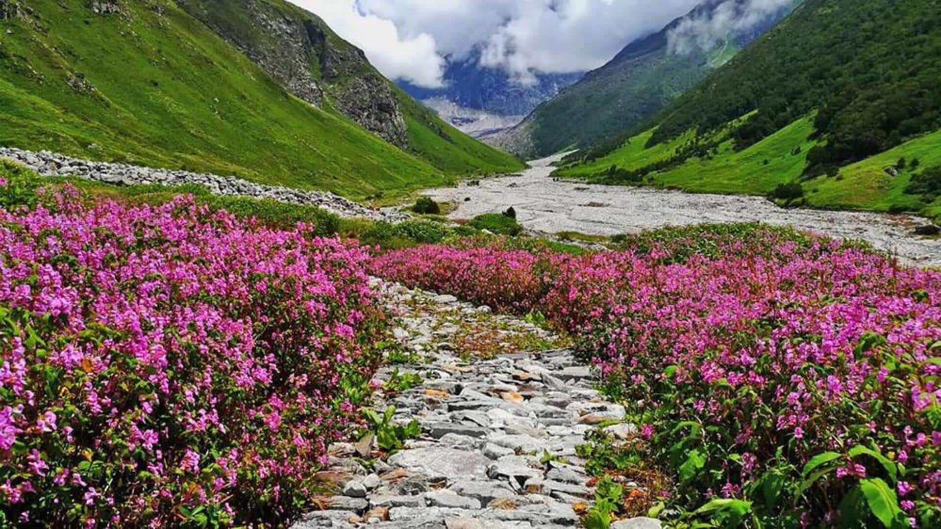 இந்தியாவின் எழில்மிகு மலர்ப் பள்ளத்தாக்குகள்: ஓர் மறக்க முடியாத பயண அனுபவம்!