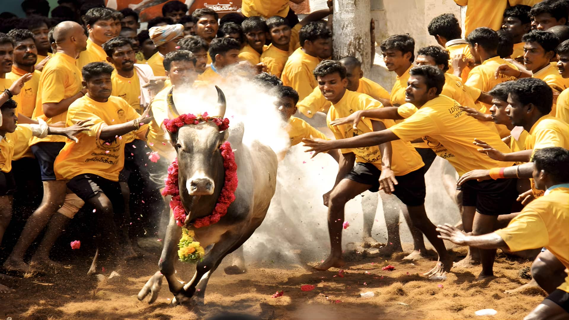 மாடுபிடி வீரர்களுக்குக் கொண்டாட்டம்; இனி ஜல்லிக்கட்டில் வென்றால் அரசு வேலை; முதல்வர் ஸ்டாலினின் மாஸ் அறிவிப்பு