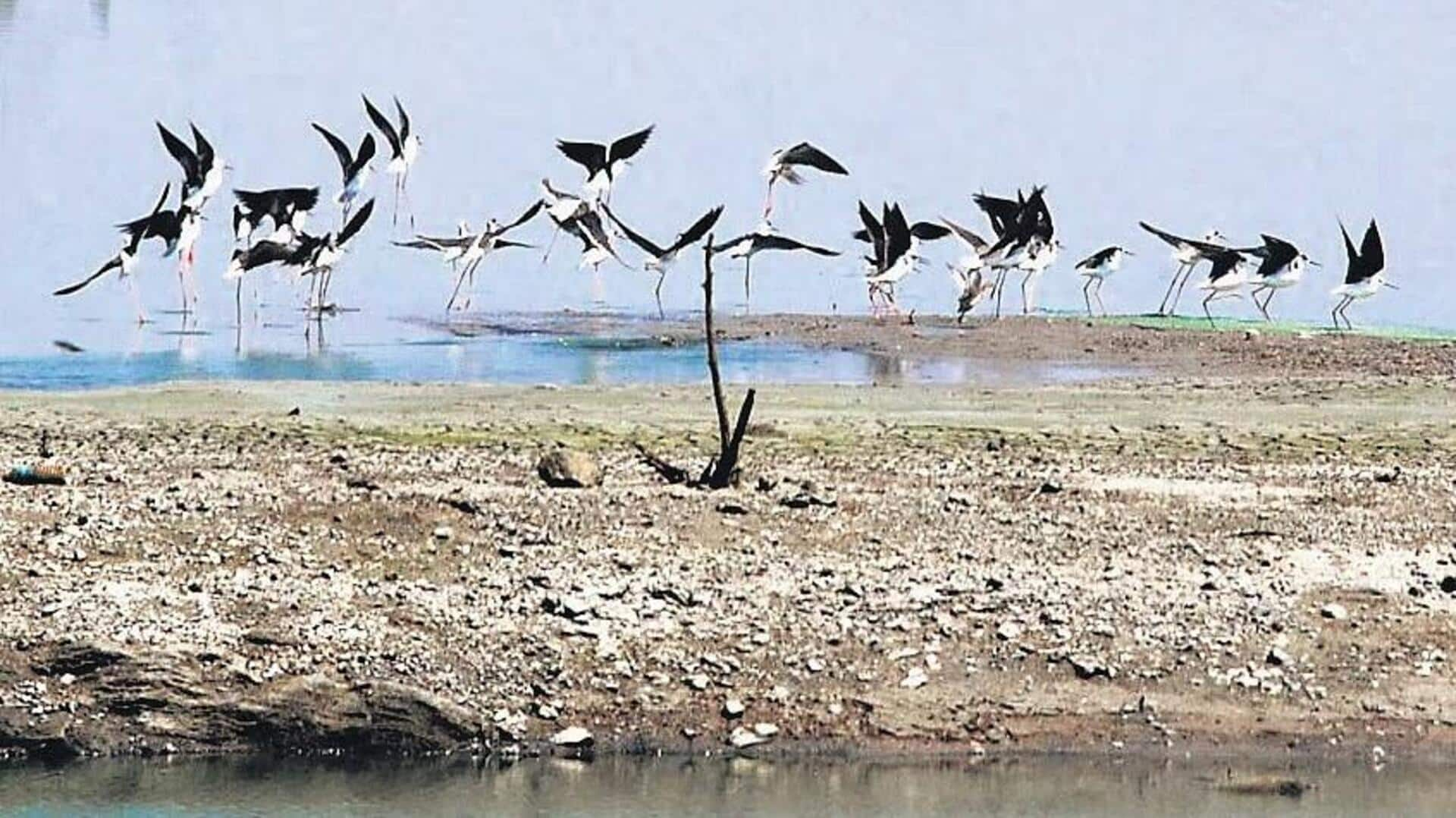 தமிழ்நாட்டில் இரண்டு புதிய ராம்சார் தளங்கள்; உலக சதுப்பு நில தினத்தில் முதல்வர் மு.க.ஸ்டாலின் அறிவிப்பு