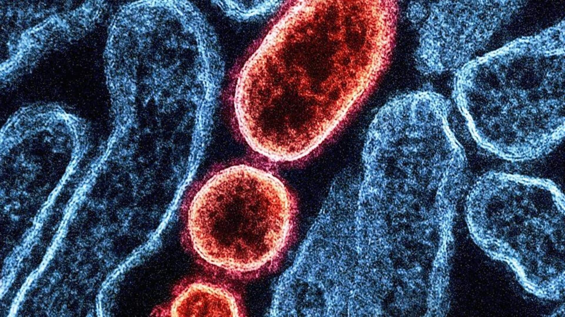 மேற்கு வங்கத்தில் நிபா வைரஸ் பலி: நர்ஸ் உயிரிழந்ததால் பதற்றம்