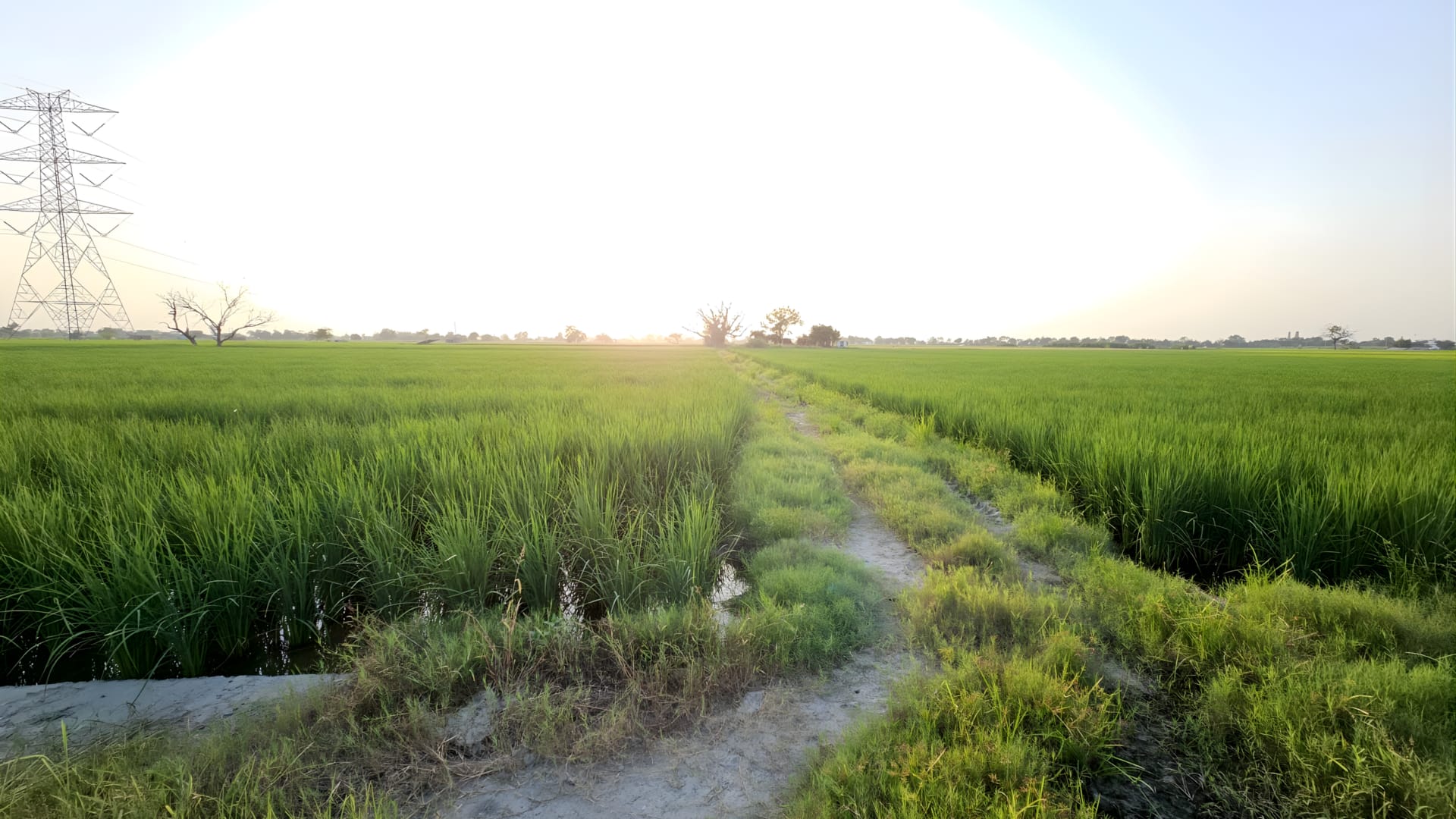 விண்வெளியில் இருந்து இந்தியாவின் ஒவ்வொரு கிராமத்தையும் மேப்பிங் செய்த இஸ்ரோ! கிராமப்புற வளர்ச்சிக்கு இது எப்படி உதவும்?