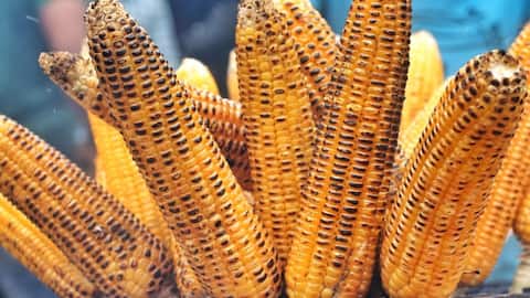 கிரில் இல்லாமல் வீட்டிலேயே சுலபமாக ஸ்மோக்கி மக்காச்சோளம் செய்வது எப்படி? இதோ வழிமுறை!