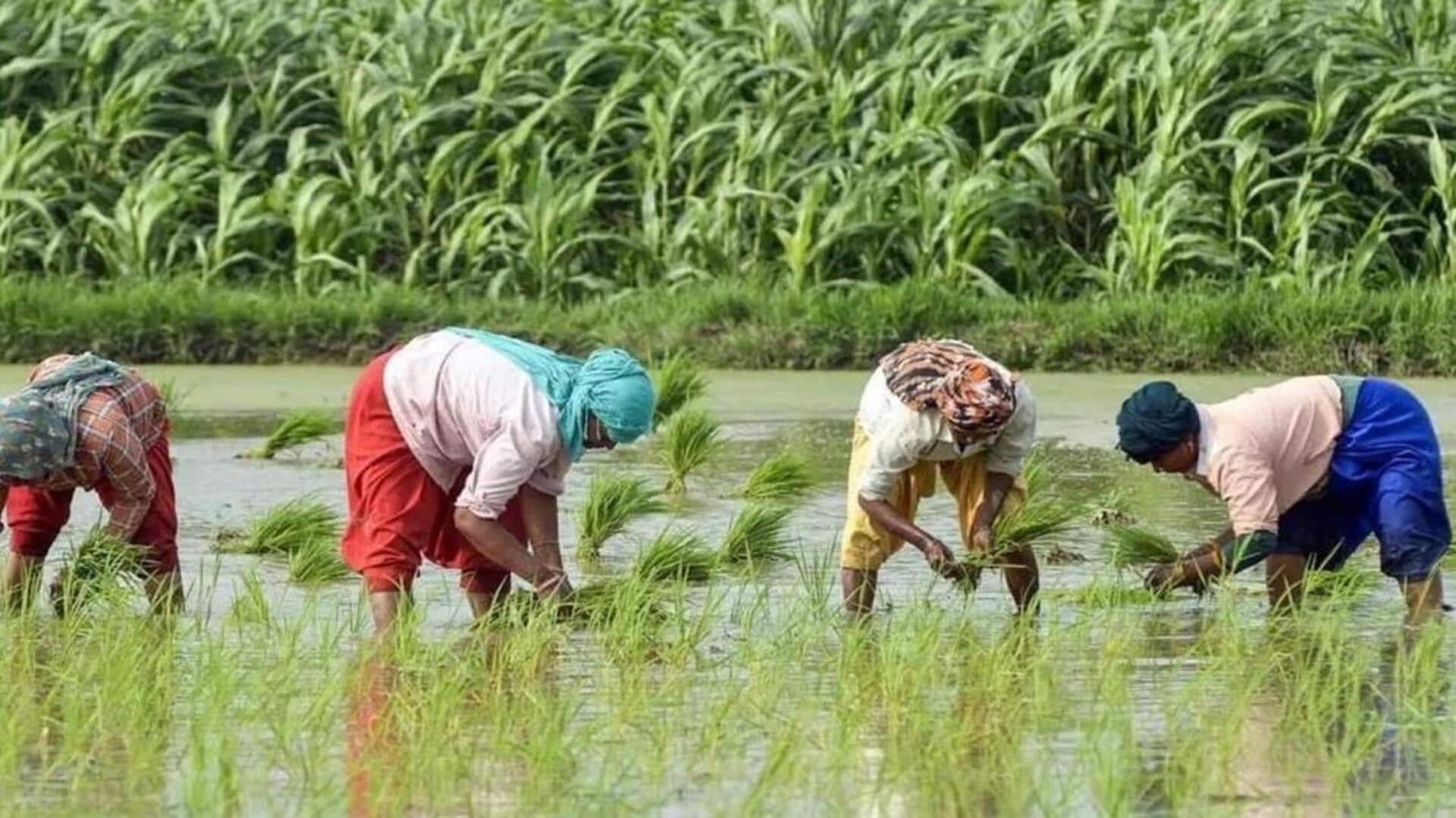 30 லட்சம் விவசாயிகளுக்கு உதவ மத்திய அரசு ₹3,200 கோடி இழப்பீடு வழங்க உள்ளது