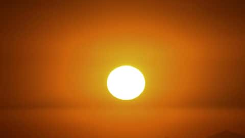 கோடைகால வெப்ப அலையிலிருந்து தற்காத்துக்கொள்வது எப்படி? தமிழக அரசு பாதுகாப்பு வழிகாட்டுதல்கள் வெளியீடு