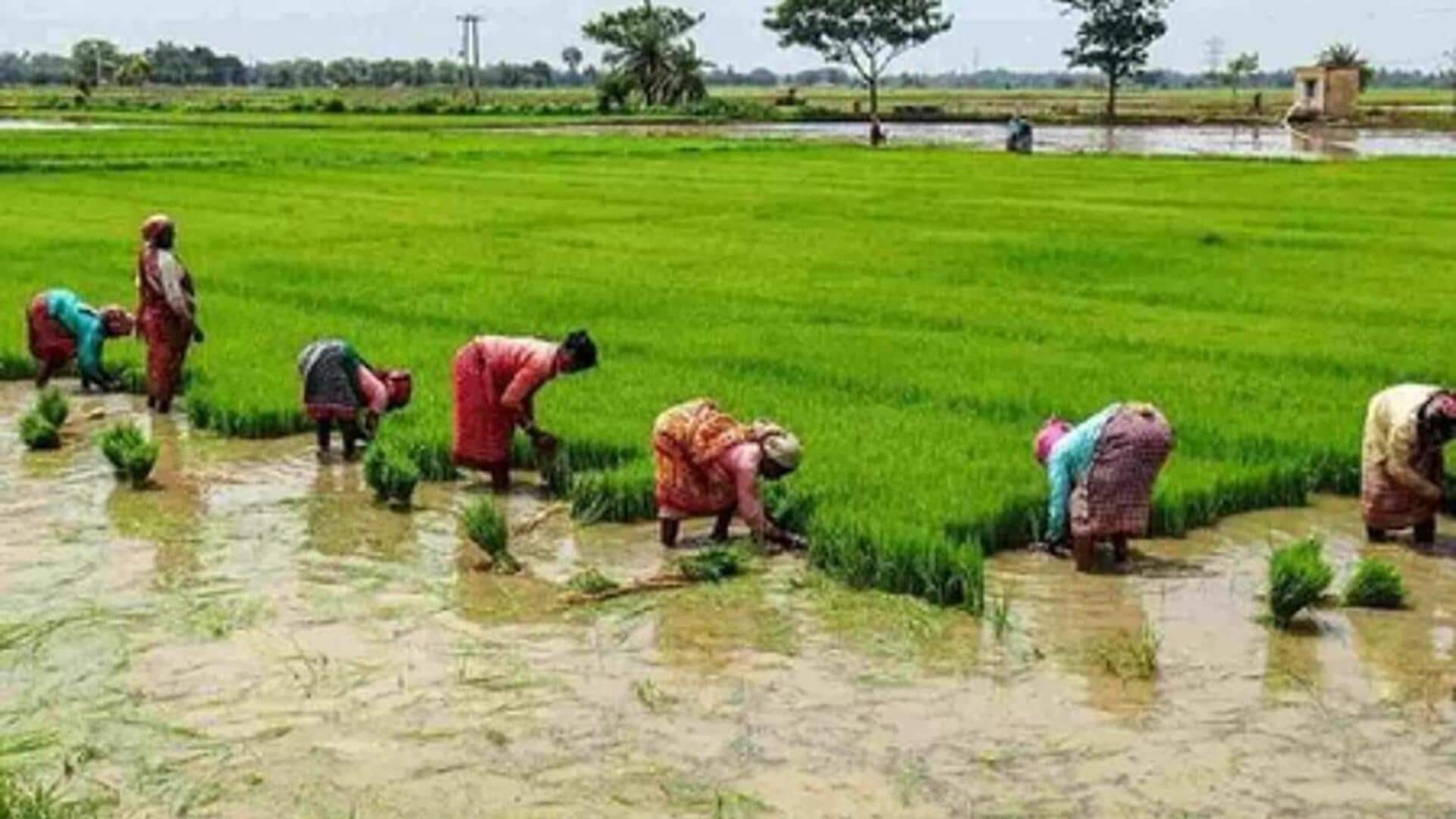 விவசாயிகளே அலெர்ட்; நாளைக்குள் இதை பண்ணிடுங்க