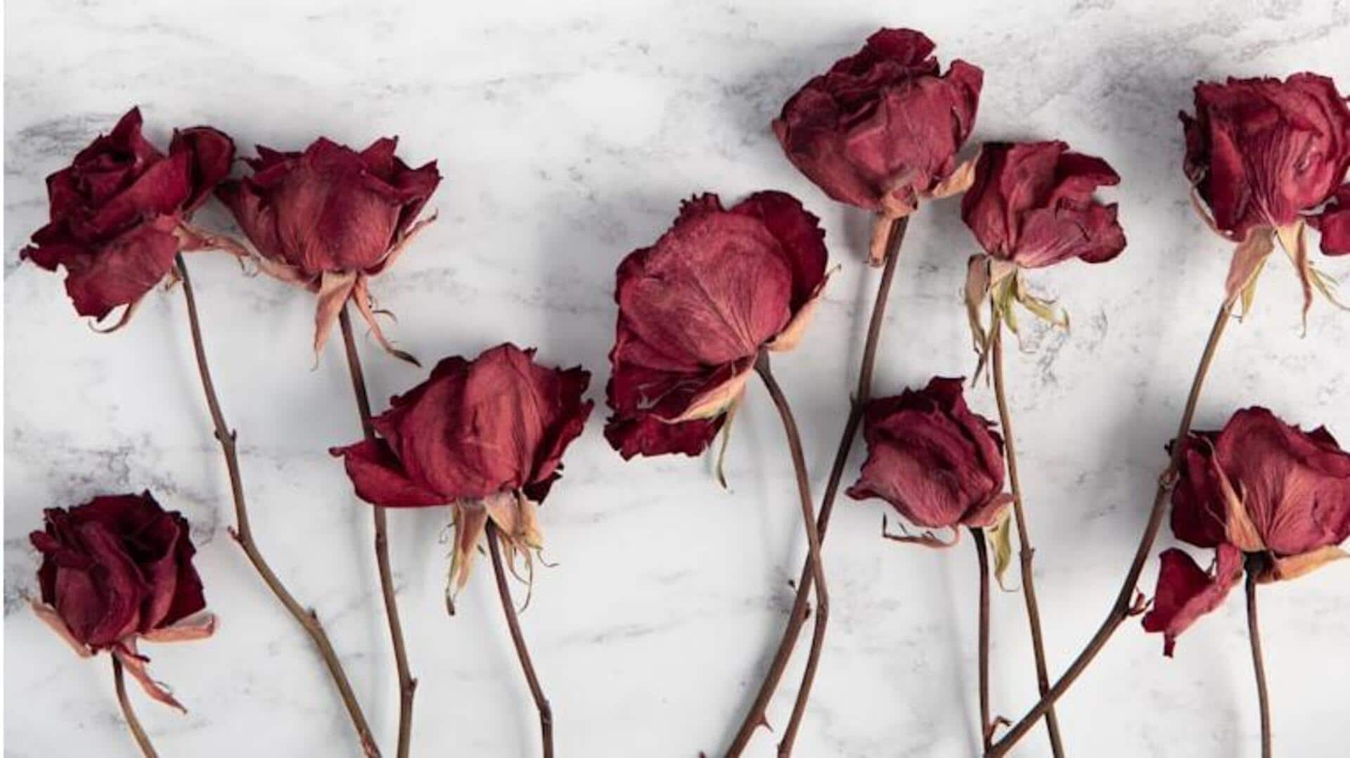 காய்ந்த ரோஜா இதழ்களின் 5 சமையல் பயன்கள்