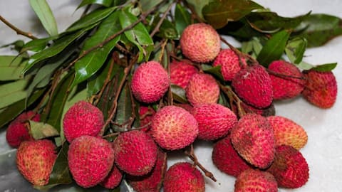 உடற்பயிற்சி செய்பவர்களுக்கு லிச்சி பழம் ஏன் அவசியம்? இதோ 5 காரணங்கள்