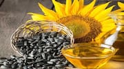 Sunflower Seeds: పొద్దుతిరుగుడు గింజలతో అదిరిపోయే 5 రెసిపీలు