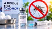 DengiAll: డెంగ్యూ నివారణకు దేశీయ టీకా.. 2027లో అందుబాటులోకి స్వదేశీ టీకా!