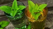 Lemon Balm Tea: గ్యాస్, పొట్ట ఉబ్బరం తగ్గించాలా? లెమన్ బామ్ టీ ట్రై చేయండి