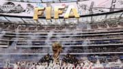 FIFA World Cup: ఫిఫా ప్రపంచకప్ ఫైనల్‌లో ఉపయోగించే టర్ఫ్ విక్రయం.. ఒక్క ముక్క ధర రూ.43 వేలు!