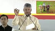 Chandrababu: రైతులకు సీఎం చంద్రబాబు గుడ్ న్యూస్.. ఈ ఏడాదిలోనే సాగు నీళ్లు 