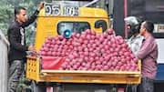 Dragon Fruit: పడిపోయిన డ్రాగన్‌ ఫ్రూట్‌ ధర.. కర్ణాటక, మహారాష్ట్ర దిగుమతులతో నష్టపోతున్న తెలుగు రైతులు