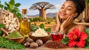 African Herbs for Skin Care: చర్మ సంరక్షణకు 5 ఆఫ్రికన్ హెర్బ్స్.. బాబాబ్ ఆయిల్ నుంచి షియా బటర్ వరకు
