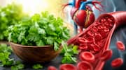 Coriander: కొత్తిమీరలో దాగిన ఆరోగ్య రహస్యాలు.. గుండెకు, రక్త ప్రసరణకు అద్భుత ప్రయోజనాలు