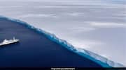 Largest Iceberg A23a: 50 ఏళ్ల ప్రయాణం ముగిసింది.. A23a మంచుకొండ ఇక చరిత్రే