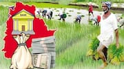 Telangana: సంక్రాంతి వేళ రైతులకు ఊరట.. సన్న ధాన్యానికి బోనస్ నిధులు విడుదల