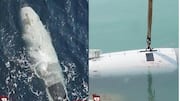 Iran Captures US Submarine: హర్ముజ్‌లో అమెరికా మానవరహిత జలాంతర్గామి పట్టివేత.. ఇరాన్‌ సంచలన ప్రకటన