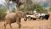 Zambia safari: తక్కువ బడ్జెట్‌లో జాంబియా సఫారీ.. పర్యావరణ అనుకూల సామాగ్రి ఇవే!
