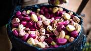 Kola nut: కోలా నట్‌తో మెరిసే చర్మం.. సహజ సౌందర్యానికి సీక్రెట్ ఇదే!
