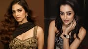 Malvika Mohanan: 'మాస్టర్‌'లో విజయ్‌కు జోడీగా ఛాన్స్‌.. మాళవికకు త్రిష స్పెషల్‌ మెసేజ్‌!