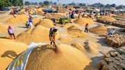 Telangana: తెలంగాణలో 11.72 లక్షల టన్నుల ధాన్యానికి ఈ-వేలం.. కనీస ధర రూ.2,389