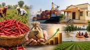 Andhra Pradesh : ఏపీ మిర్చికి విదేశాల్లో భారీ డిమాండ్‌.. ఐదేళ్లలో రూ.28 వేల కోట్ల ఎగుమతులు