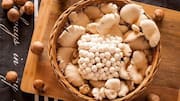 Mushrooms: వర్షాకాలంలో భారతదేశంలో పెరిగే 5 అరుదైన పుట్టగొడుగులు గురించి తెలుసా?