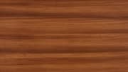 Afromosia Wood: ఆఫ్రోర్మోసియా కలప ప్రత్యేకతలు.. సంప్రదాయ వైద్యంలో ఎలా ఉపయోగిస్తారంటే?