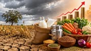 Milk,pulses,vegetables: పాల నుంచి కూరగాయల వరకు.. వర్షాభావం ధరలను ఎలా ప్రభావితం చేస్తుంది?