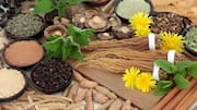 Adaptogens : ఒత్తిడికి చెక్ పెట్టే అడాప్టోజెన్స్.. మీకు తెలియని టాప్ 5 సీక్రెట్స్ ఇవే!