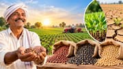Drought Relief: రైతులకు వ్యవసాయ శాఖ శుభవార్త.. 80% రాయితీపై విత్తనాలు