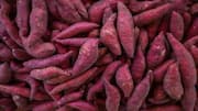 Sweet Potato: ఇంట్లో చిలగడదుంపలు సులభంగా పెంచండిలా..